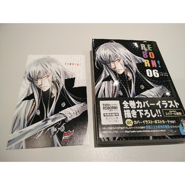 希少 家庭教師ヒットマンREBORN リボアニ ポストカード 雲雀恭弥 家庭