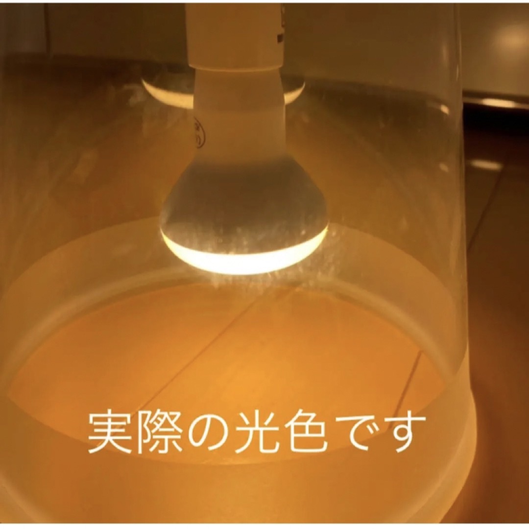 超レア LED電球3個 FLOS/フロス フーシア/FUCSIA用 E14の通販 by Surf