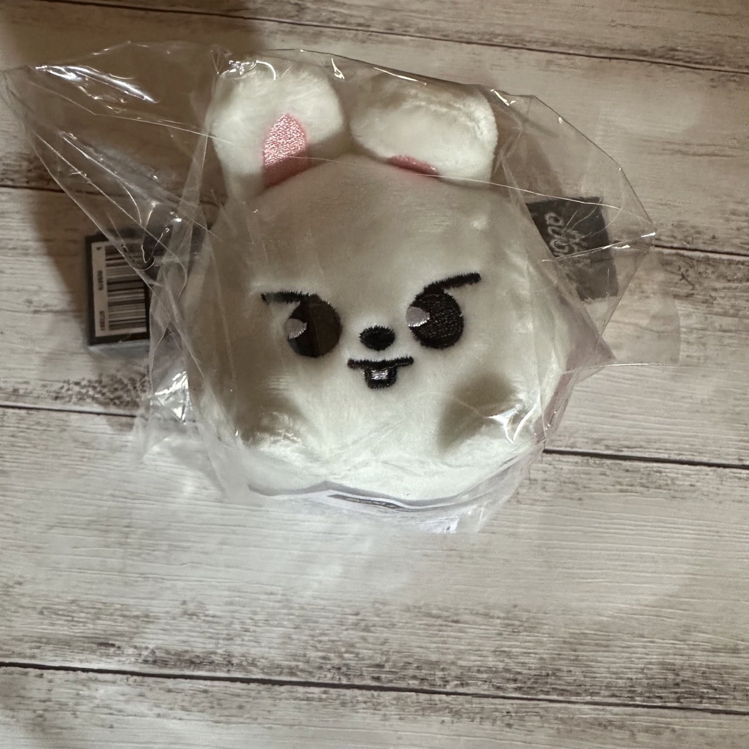 StrayKids スキズ ポップアップ バックパック リービット リノ リノ