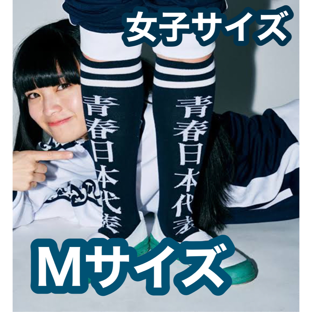 レア サイン入り 新しい学校のリーダーズ 靴下