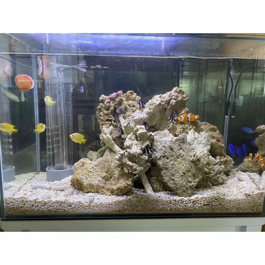 人工ライブロック No.15 アク抜き済 人工ライブロックNo.15 アク抜き済