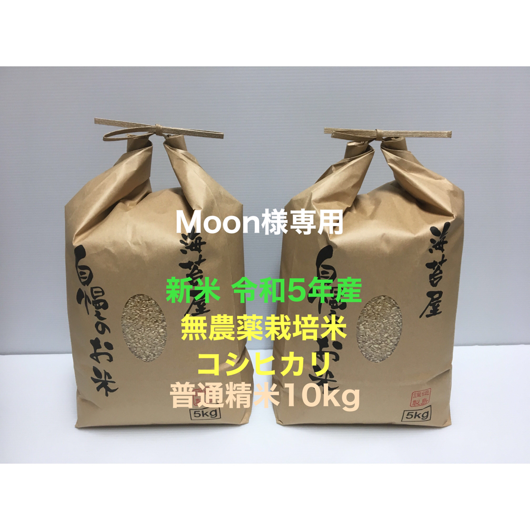 おもちゃ 専用moon様 moon様。専用 MINA♫様 専用 ZX｜製品紹介｜
