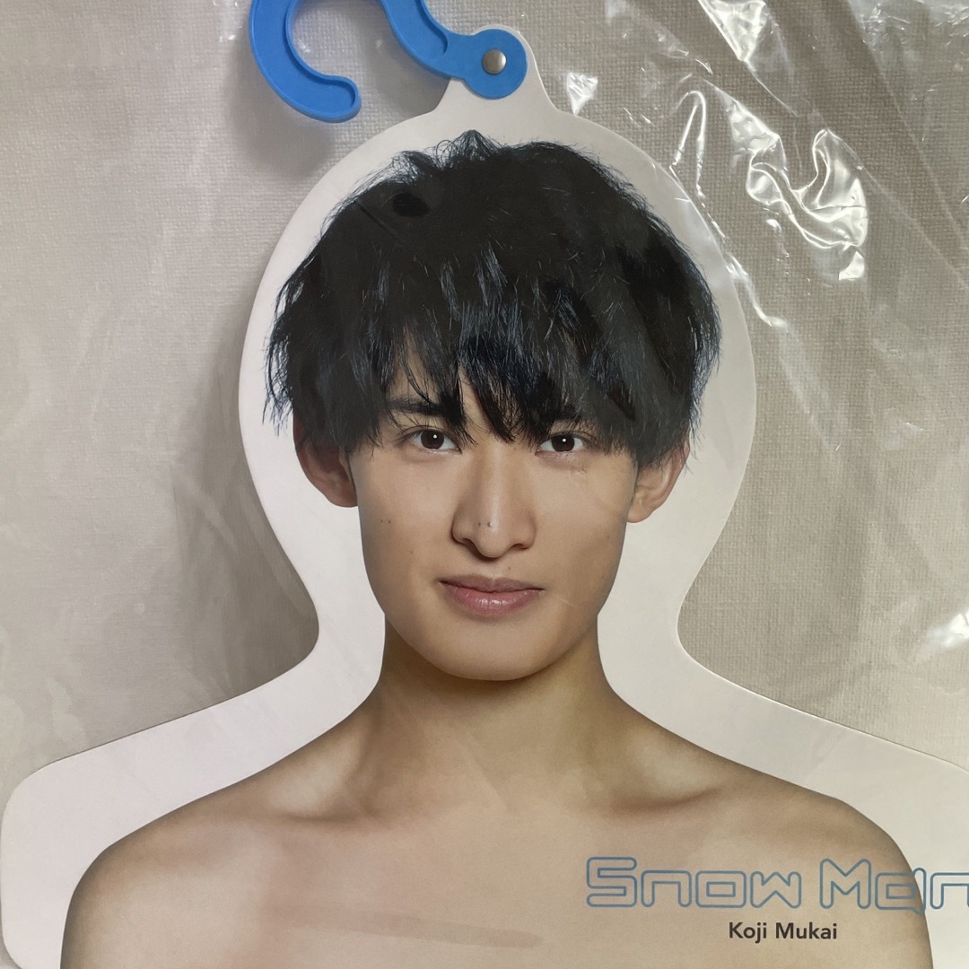 向井康二 ハンガー 公式写真 ステフォ 雑誌切り抜き うちわ まとめ売り