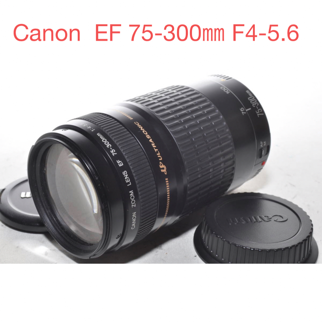 イベント☆スポーツ☆望遠レンズ☆キャノン Canon 良い EF75-300