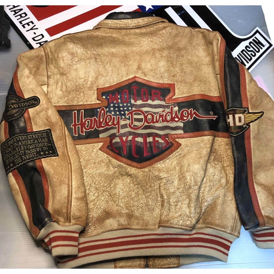 Harley Davidson - 【レアモデル！立体刺繍】ハーレーダビッドソン 本