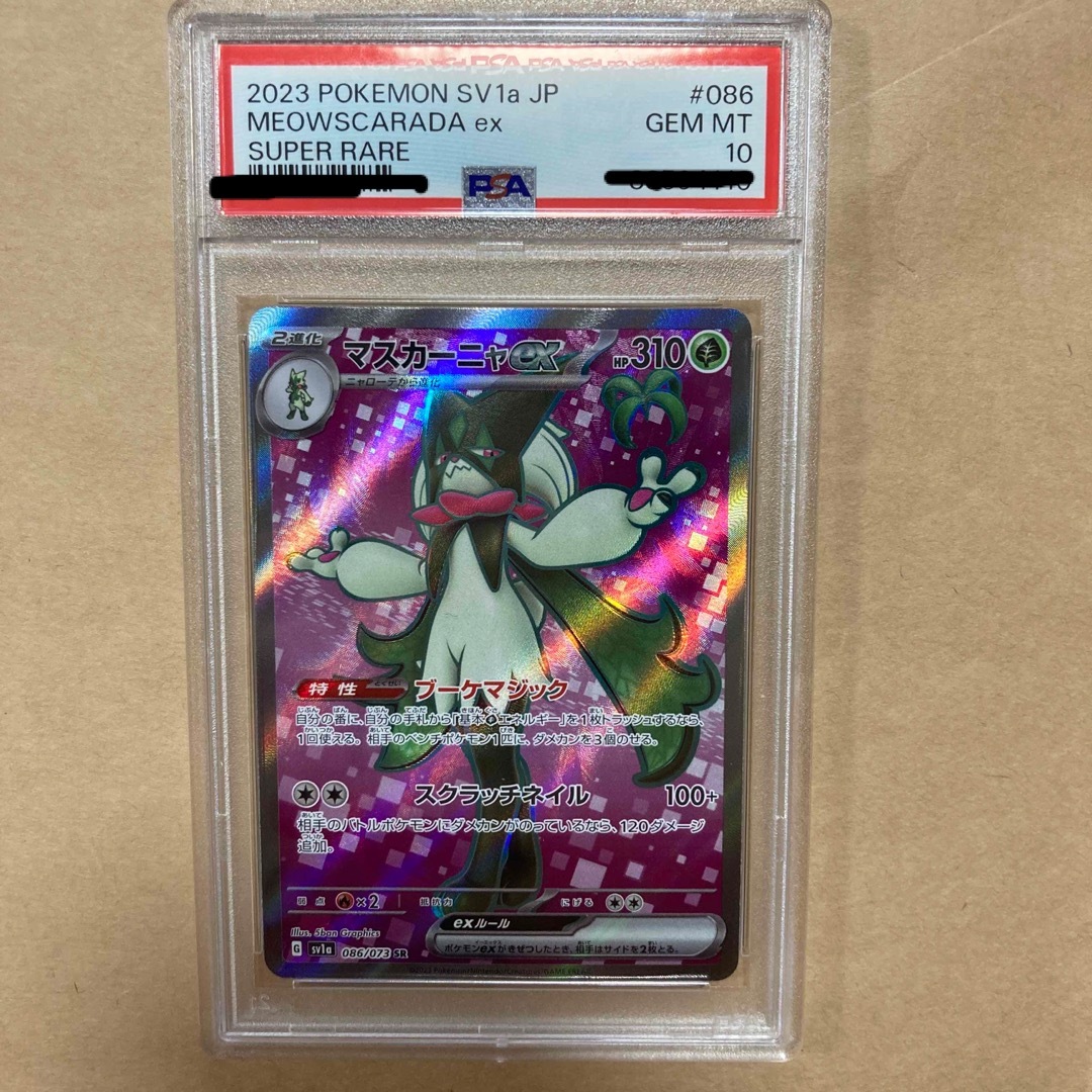 PSA10連番 マスカーニャ ラウドボーン ウェーニバル コライドン