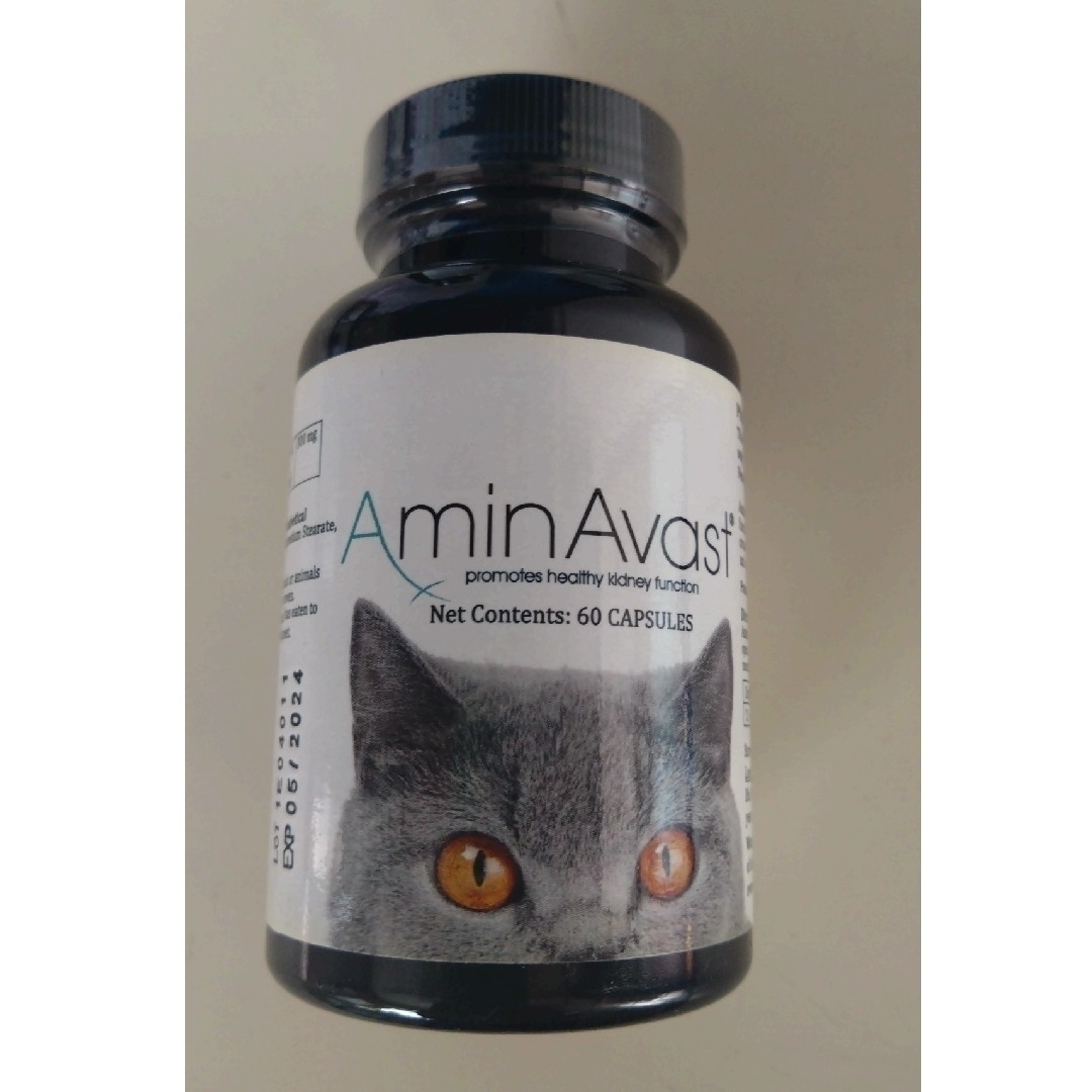 アミンアバスト 中・大型犬用規格（1,000mg）60カプセル 2個セット