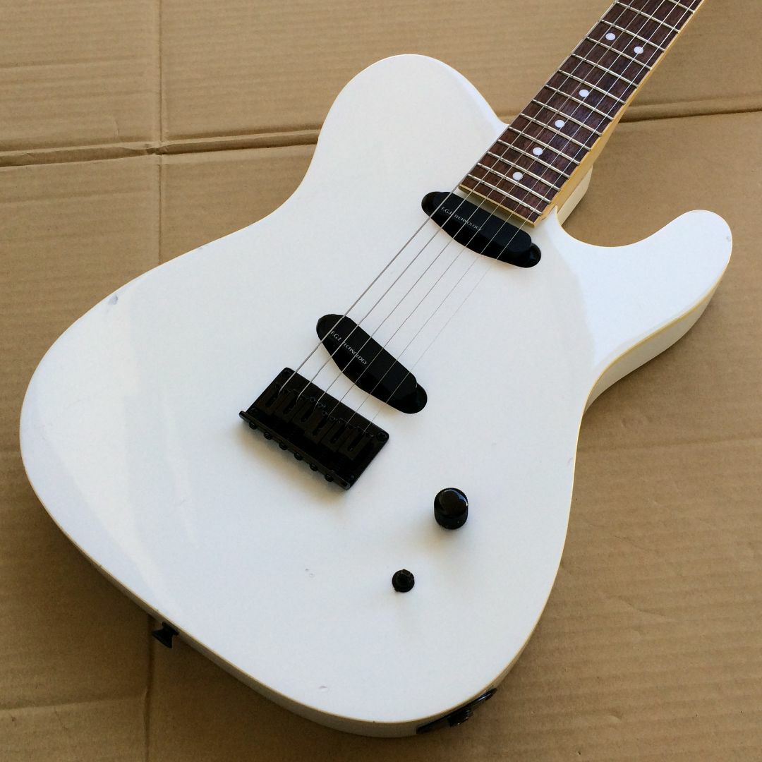 FERNANDES TEJ-75 白文字F.G.I 初期型 FERNANDES TEJ-75 Lシリアル 白