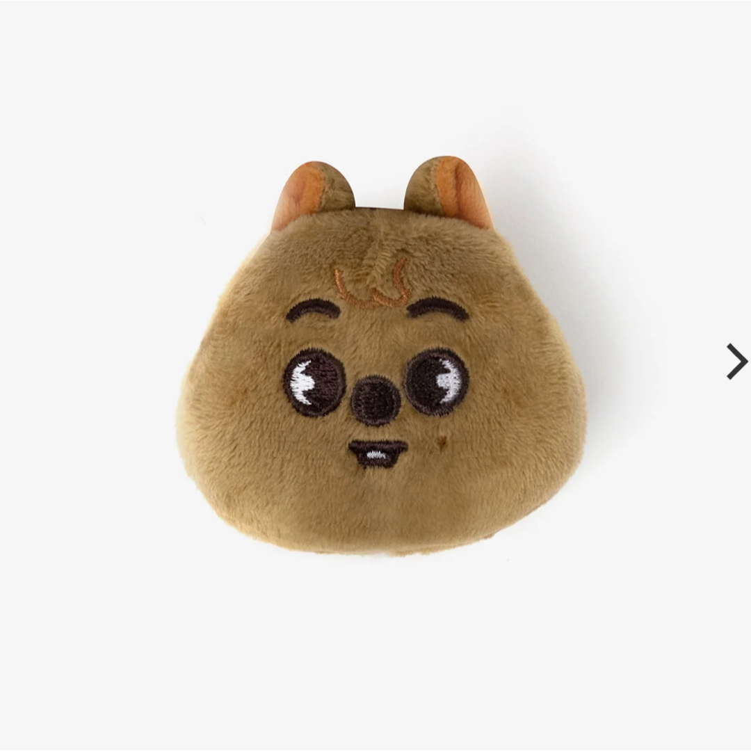 straykids skzoo ハンクォッカ 公式 straykids スキズ テディベア