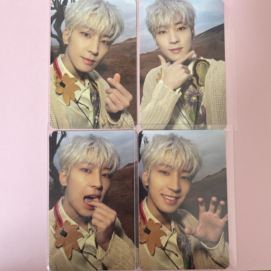 SEVENTEEN ウォヌ ヘンガレ ヨントン トレカ 5枚セット seventeen