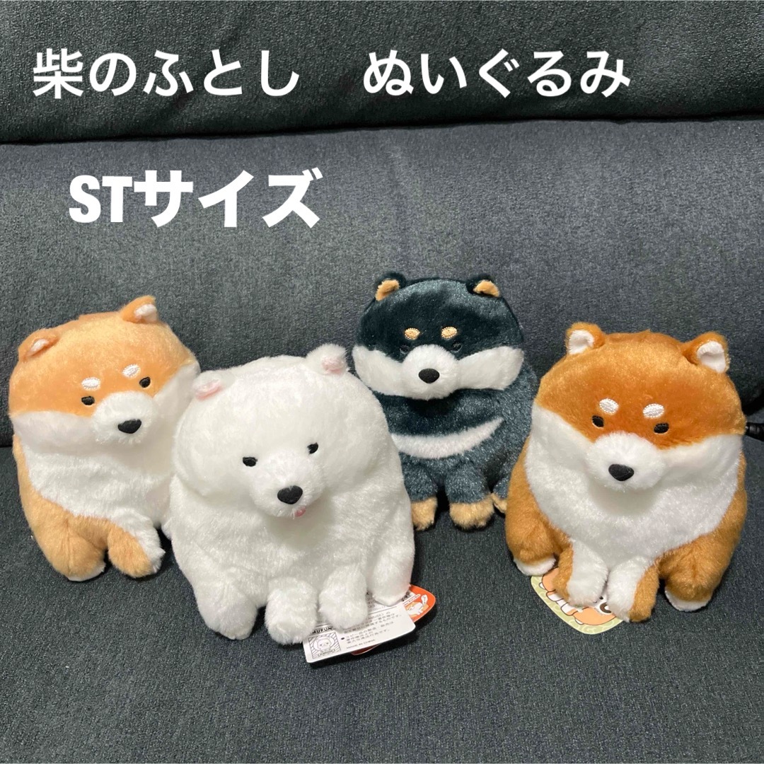 柴のふとし STコンプリート 柴のふとし STコンプリート