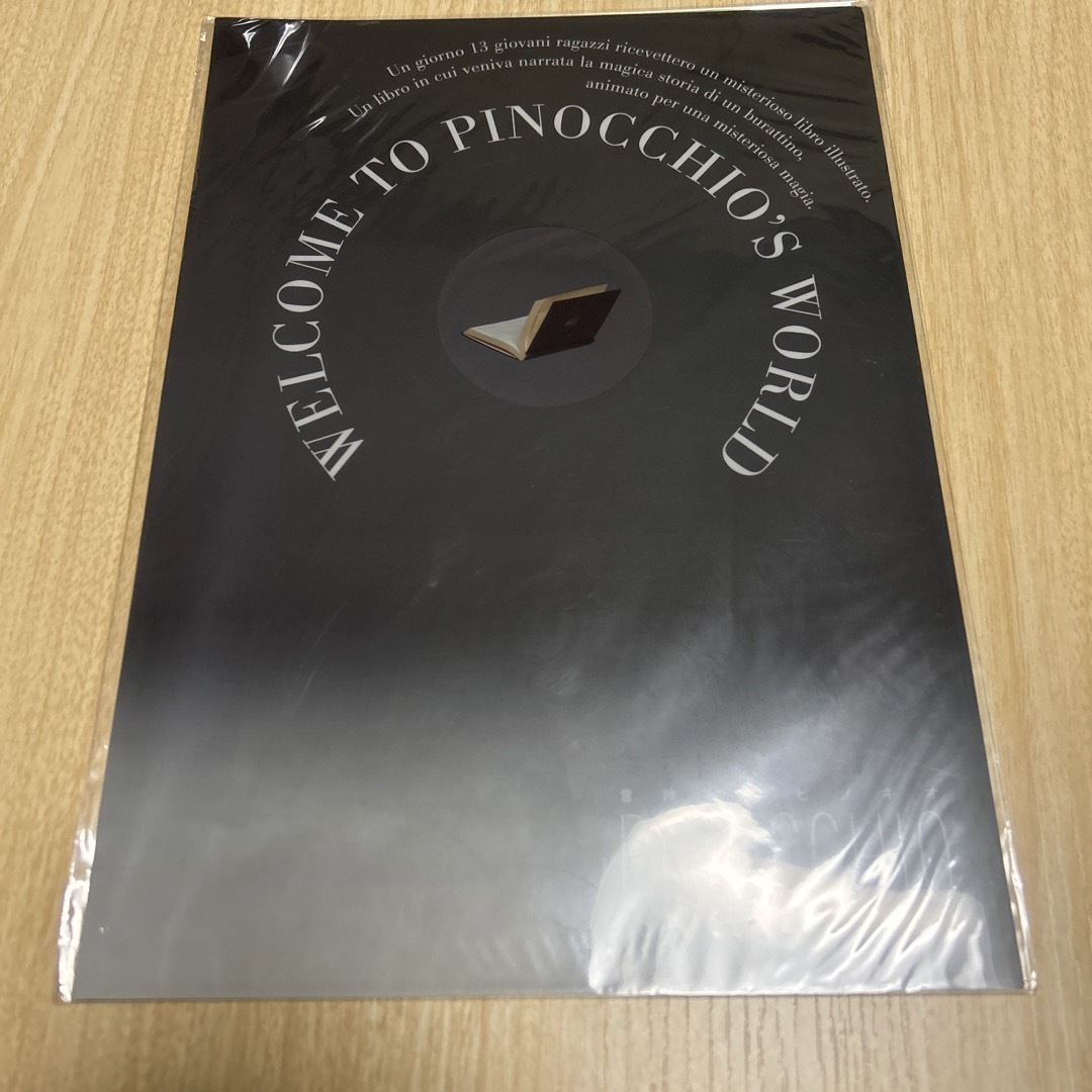 冒険絵本 ピノキオ DVD パンフレット セット アミューズ 冒険絵本