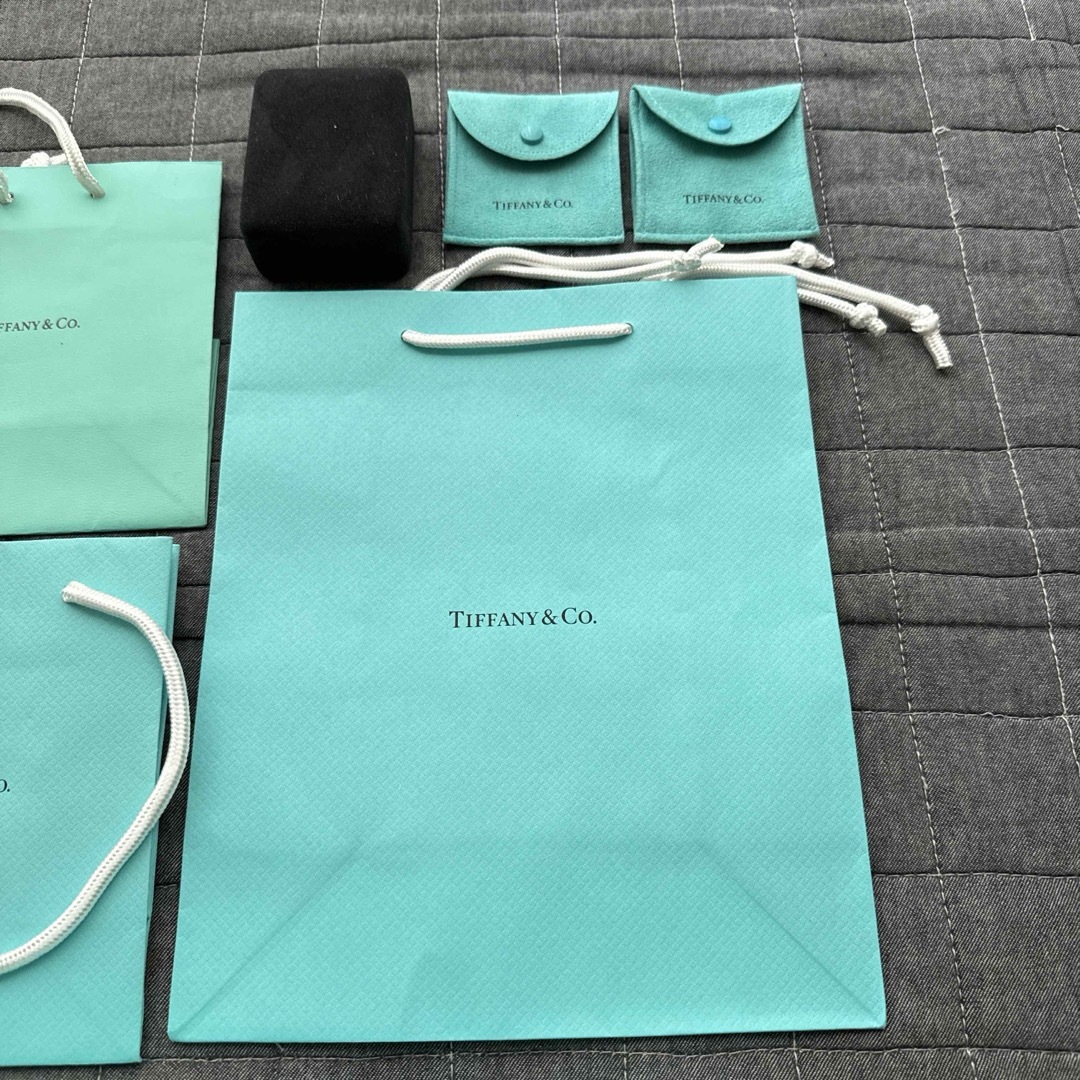 現行品 Tiffany ティファニー 空箱 巾着 取扱説明書 12セット 現行品