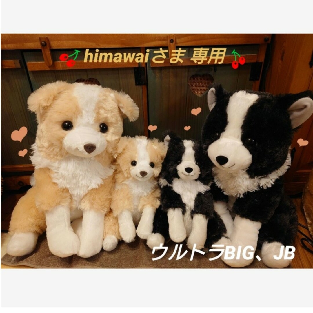 くったりボーダーコリー マロン ウルトラBIG くったりボーダーコリー