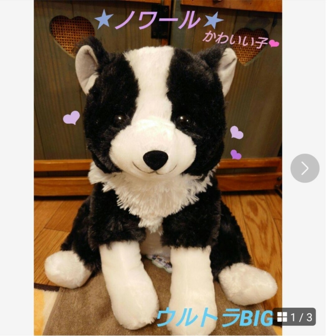 くったりボーダーコリー【新作】おりこうさん ノワール ウルトラBIG