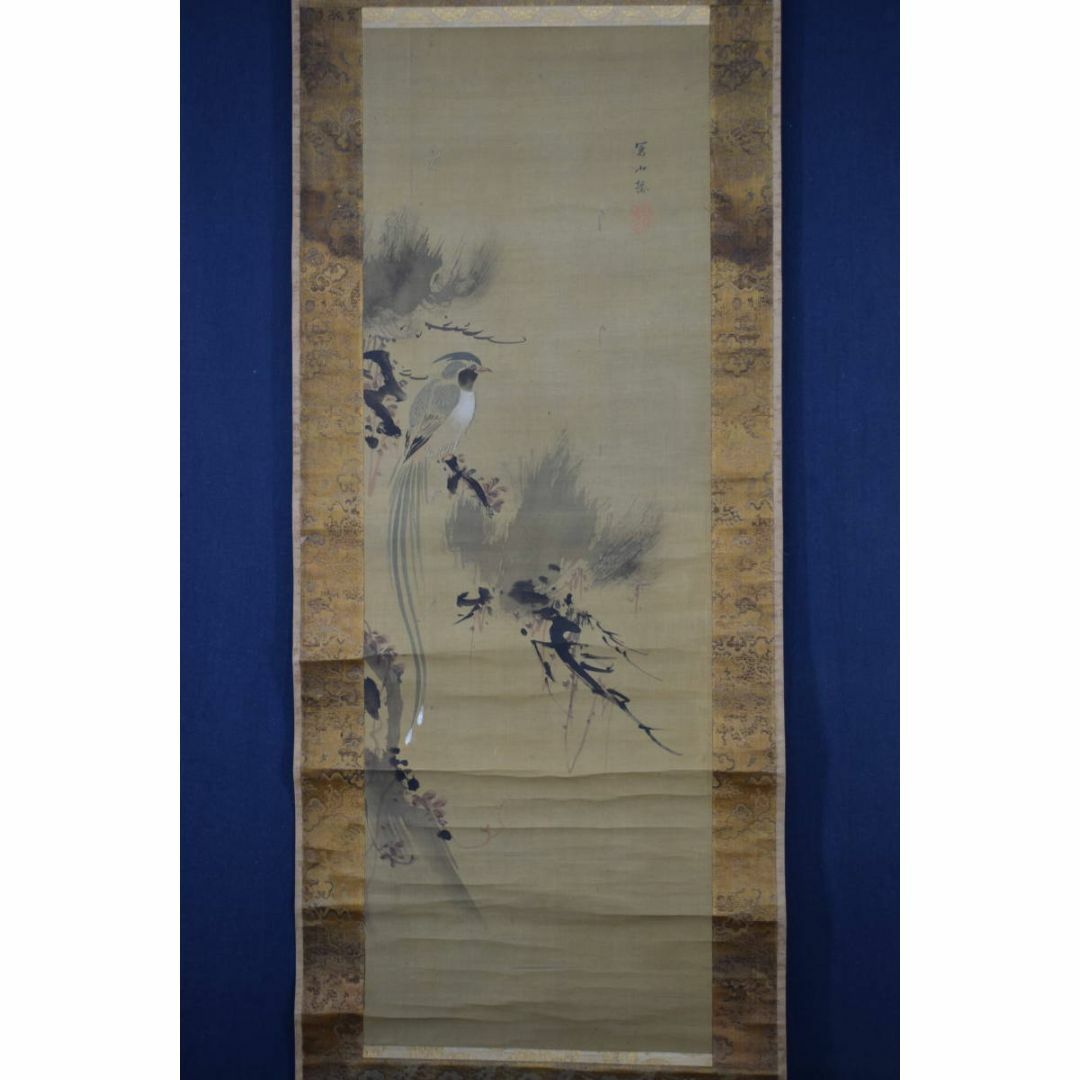 真作/谷文晁/写山楼/老松寿帯鳥図/尾長鳥図/掛軸