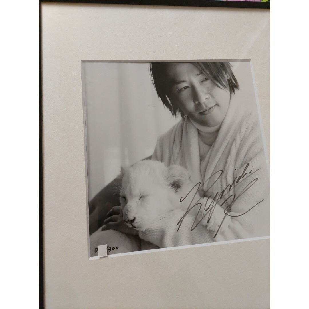 直筆サイン入りFC限定購入品!河村隆一ライオンの赤ちゃん額装LUNA SEA