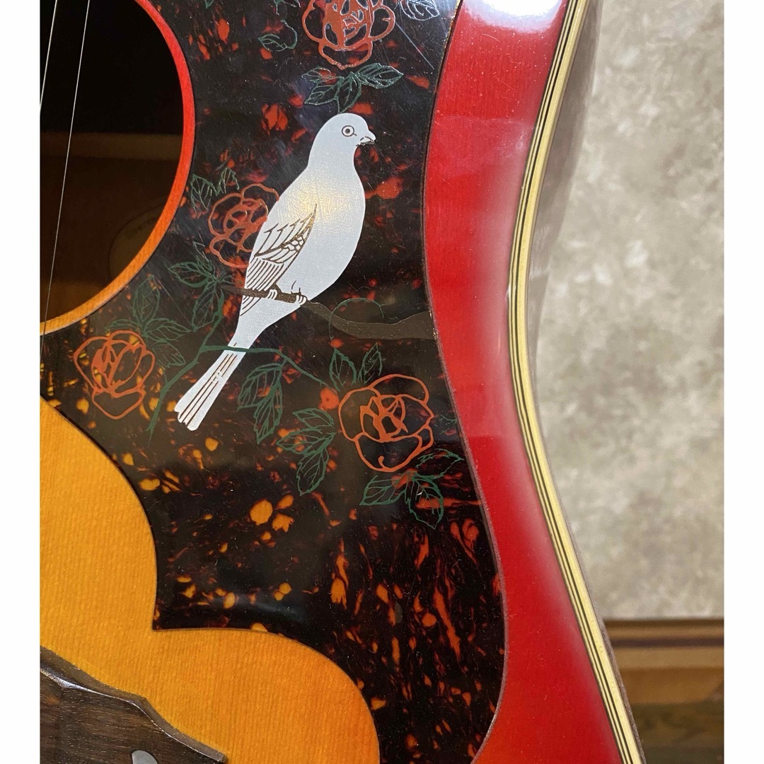 アコースティックギター Morris WD-25