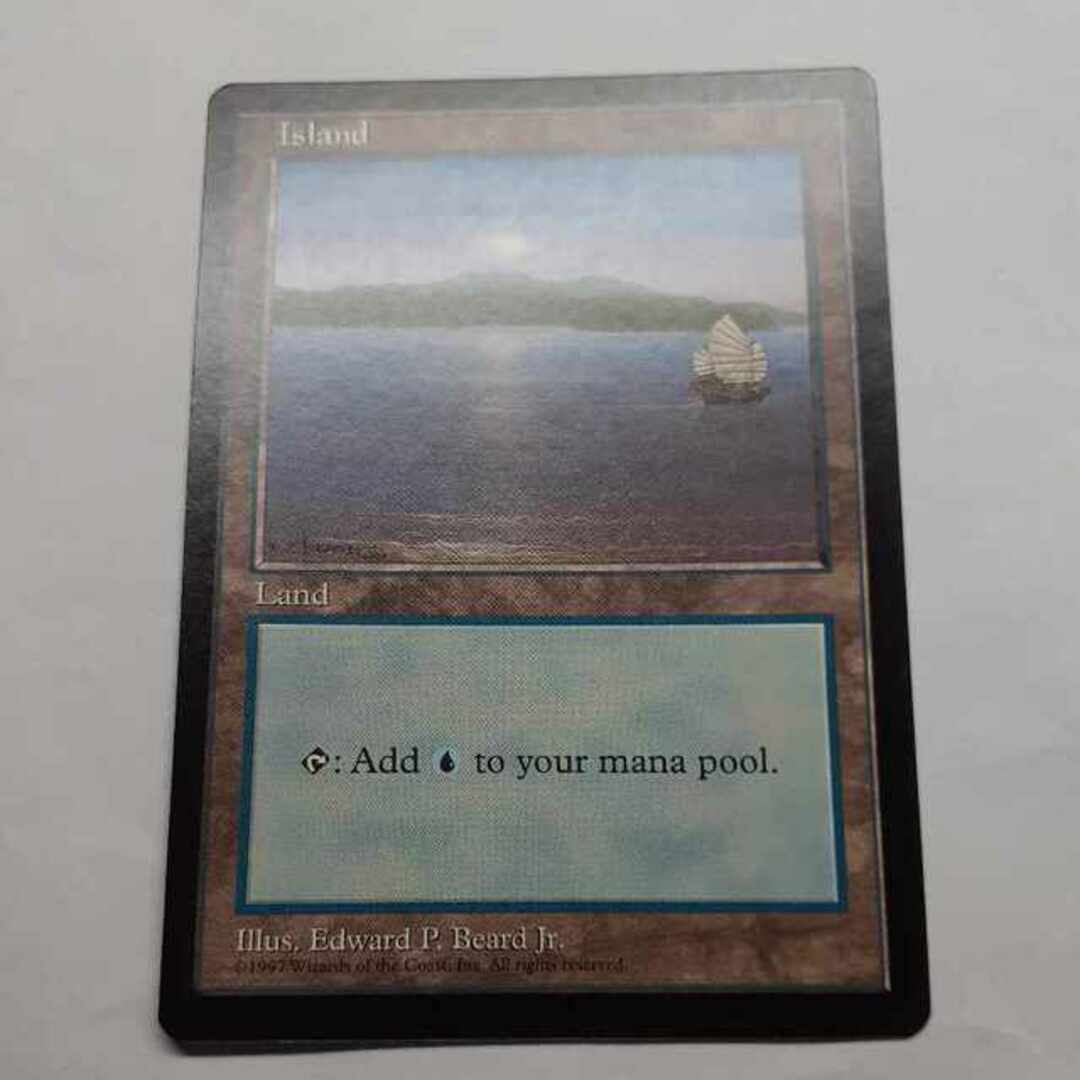 マジック：ザ・ギャザリング - MTG APACランド 5枚セット ひまわり平地