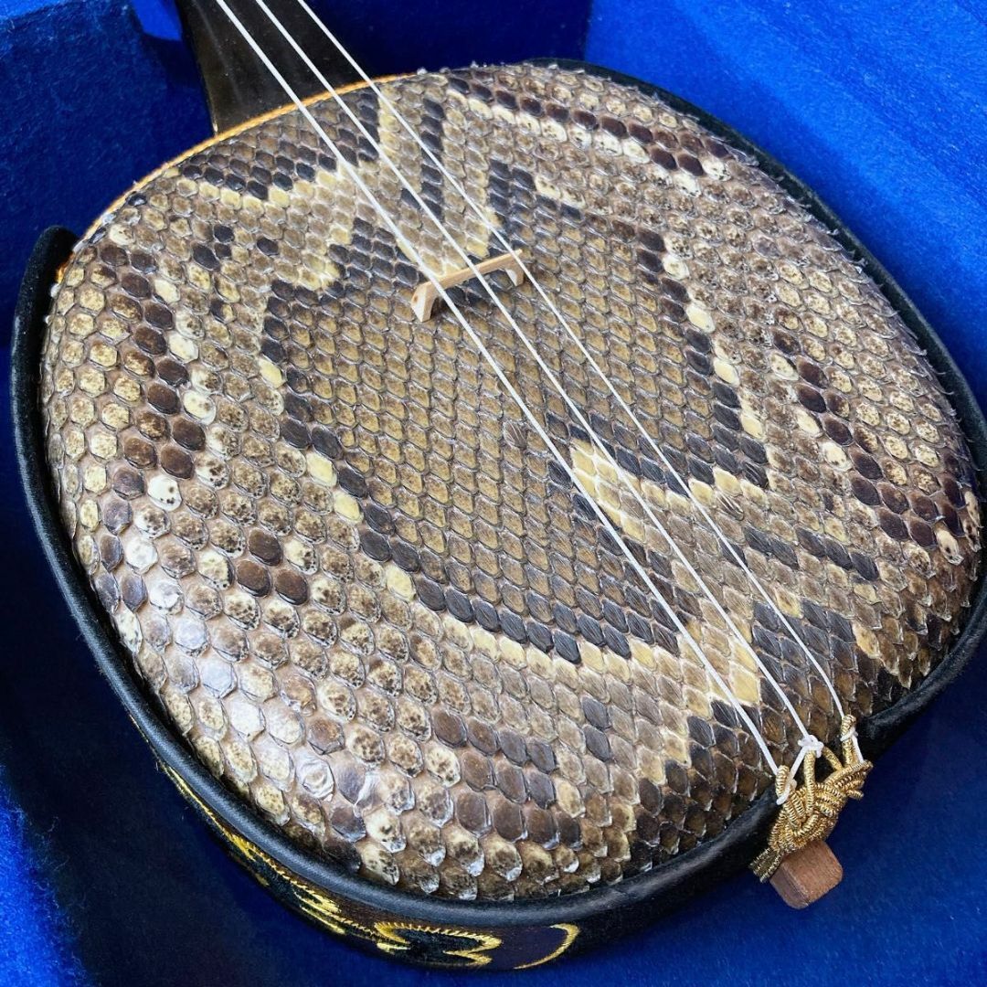 沖縄三味線 本革 蛇革 強化張り 本皮 蛇皮 本蛇革 琉