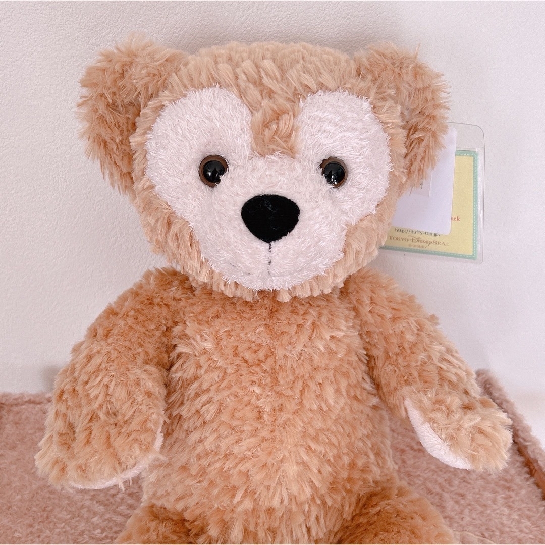 ❤︎超絶美形可愛い❤︎ タグ付き WDW ディズニーベア 霜降り マーブル