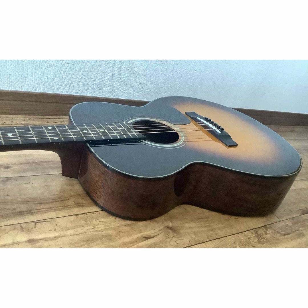 takamine アコースティックギター T-F2TBS ハードケース付き