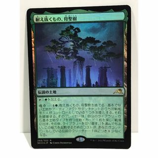 2325349541.jpg?1721540555