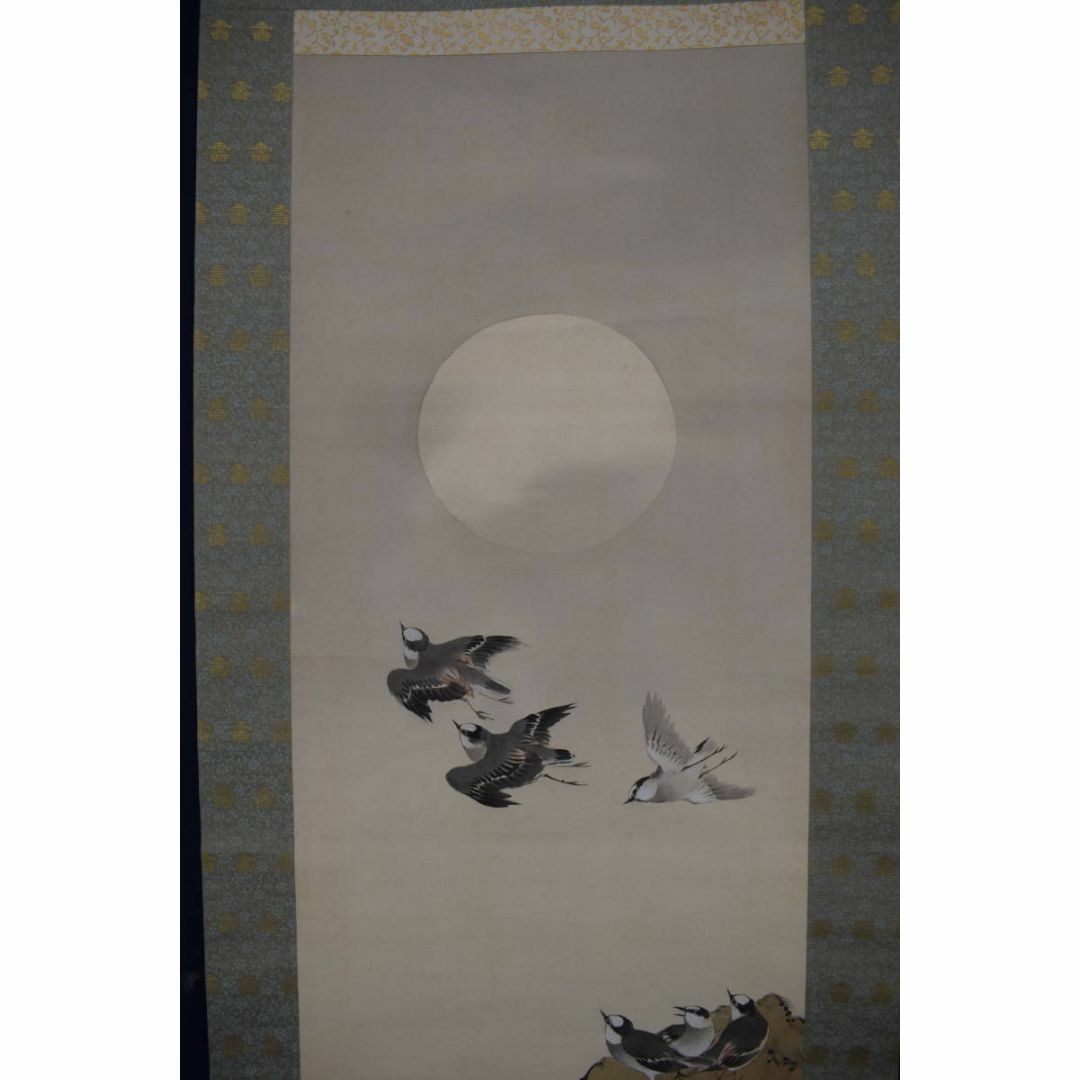 琴仙/月下千鳥図/群鳥図/掛軸☆宝船☆Z-383