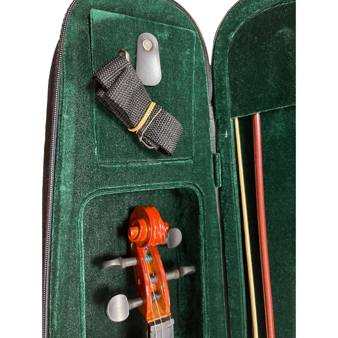 高級 二胡 龍頭 竜頭 弦楽器 民族楽器 ケース付属 蛇革 天然素材 ねじり