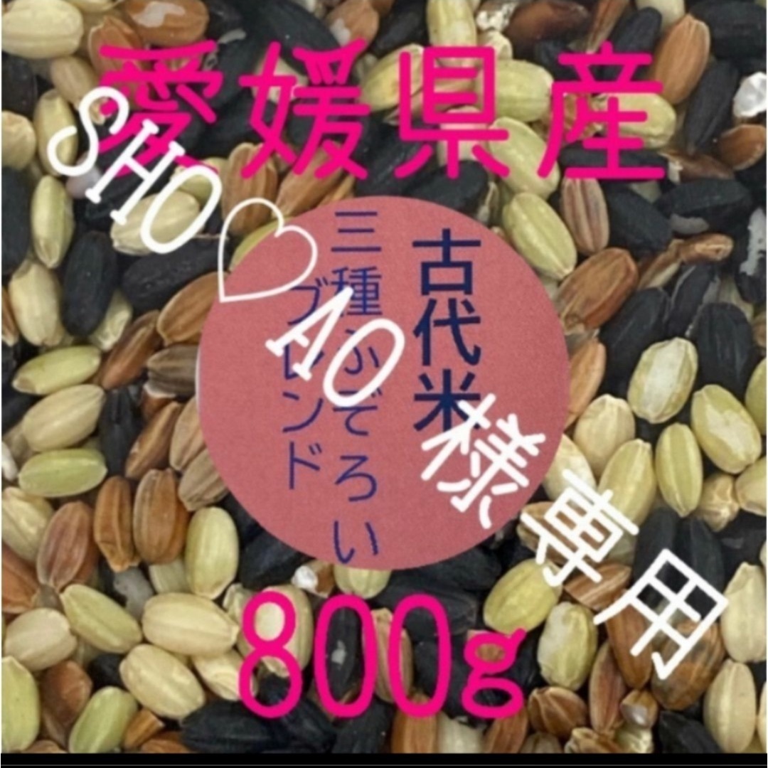 マーサスチュワート man 雪だるま 新品 ビッグパンチ スノーマン