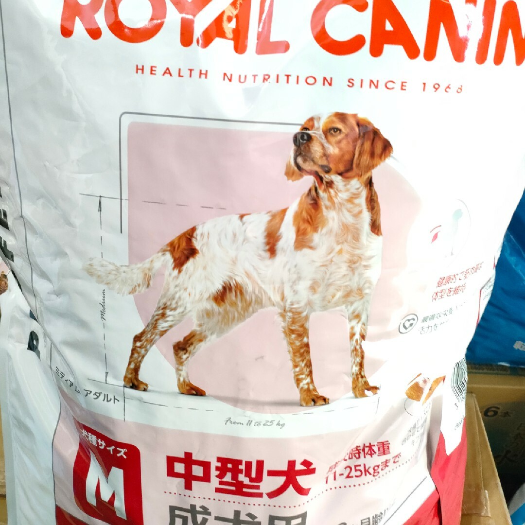 数量限定】中型犬・ロイヤルカナン ミディアムアダルト 16kg