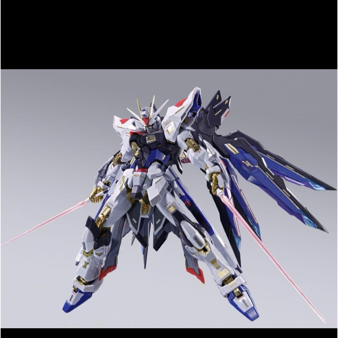 メタルビルド ストライクフリーダムガンダム FESTIVAL 2024 未開封 未