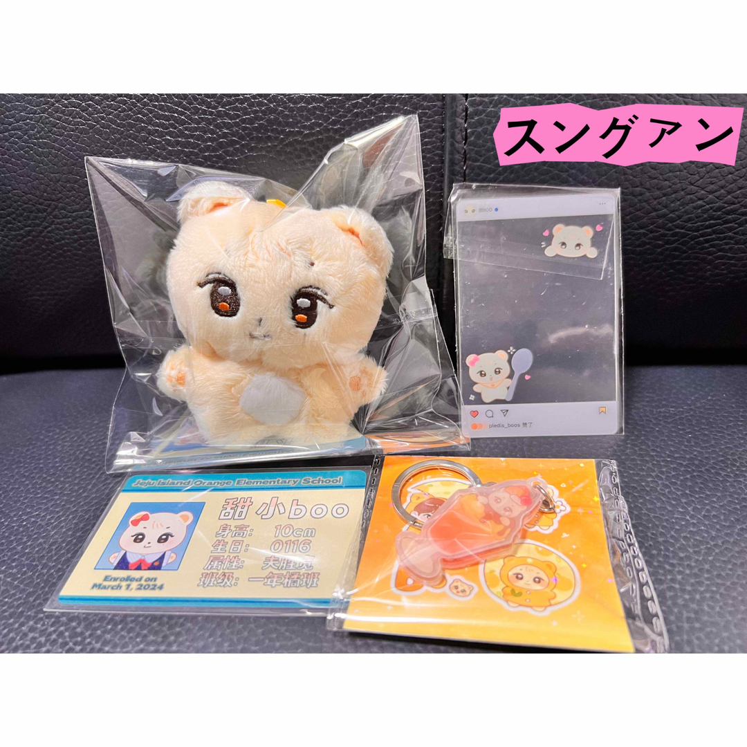 seventeen ミニティーン プギュリ スングァン セット 2025 プギュリ