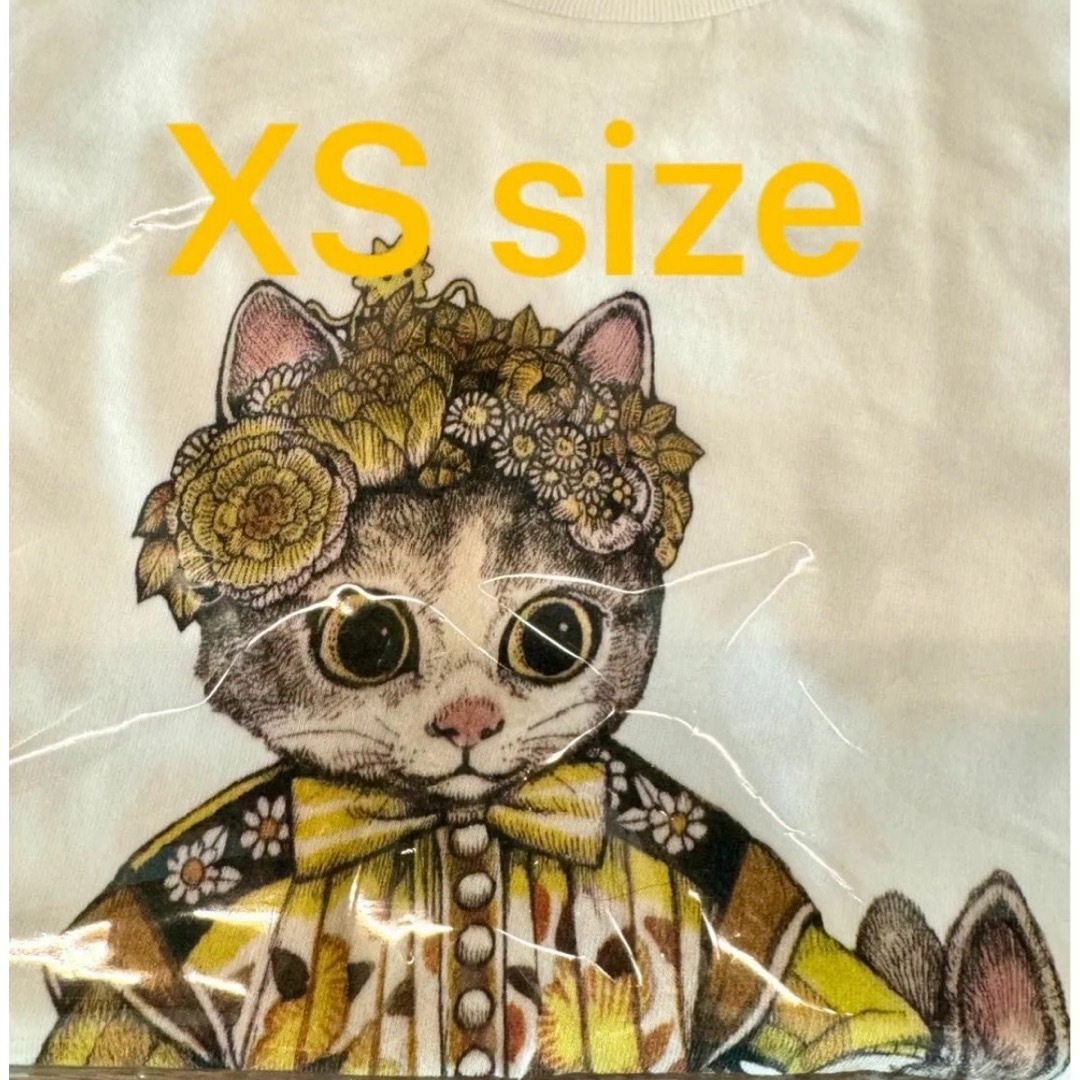 遠藤彰子 遠い日 油絵 新作保証 肉筆 遠藤彰子 遠い日 油絵 新作保証