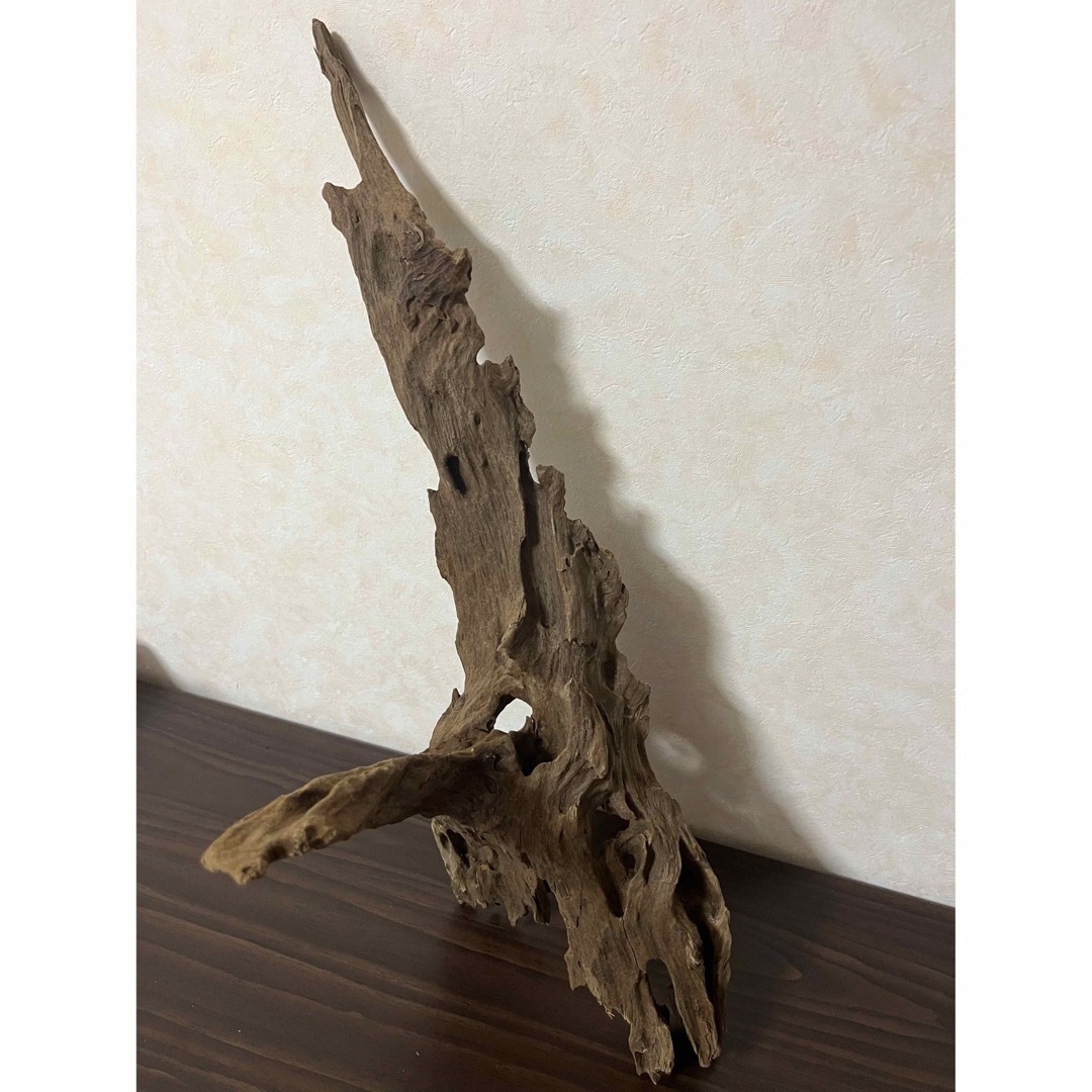 XM-363 ブランチウッド 流木 マシンガンウッド アクアリウム 沈水確認