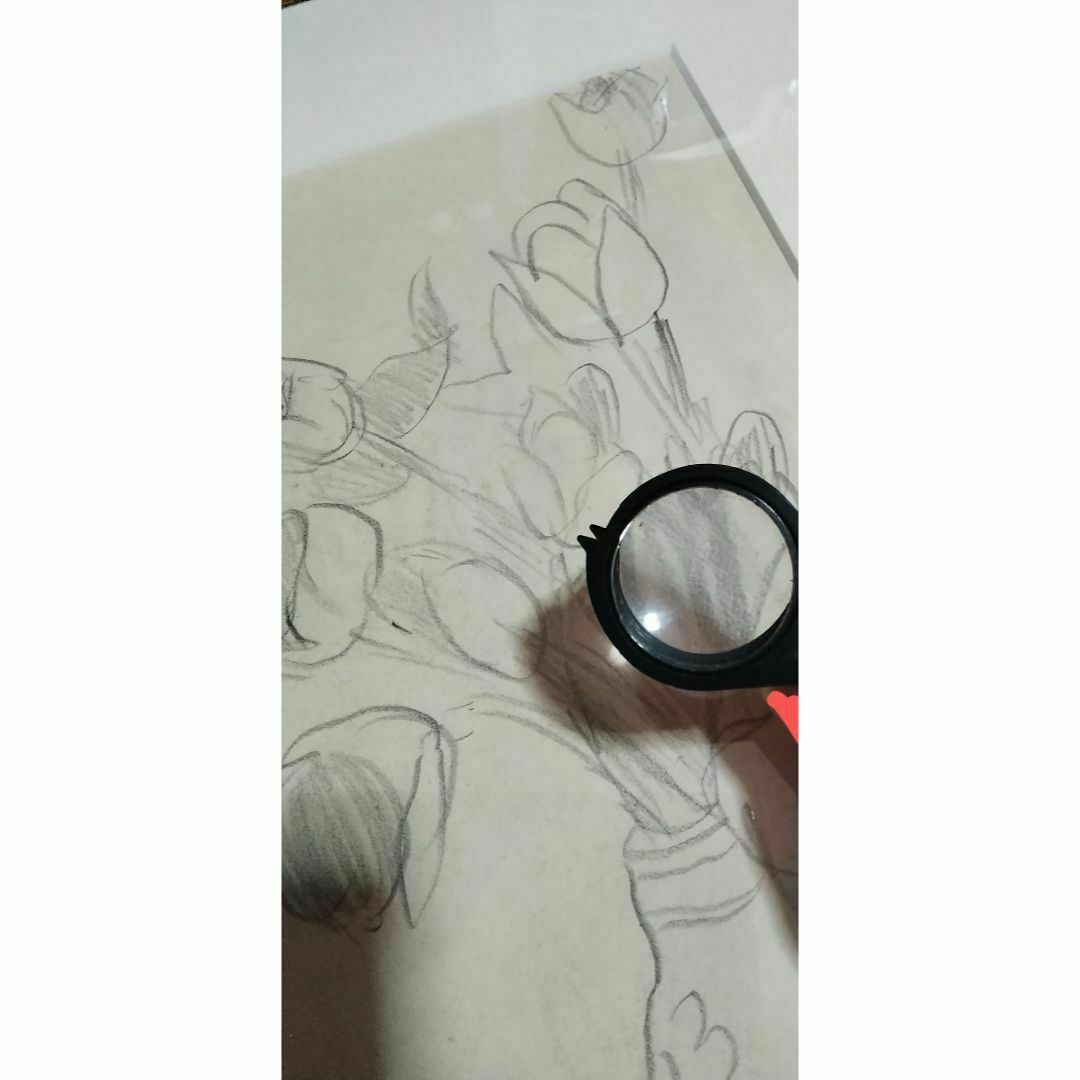 梅原龍三郎チューリップ鉛筆画真作巨匠 梅原龍三郎チューリップ鉛筆画