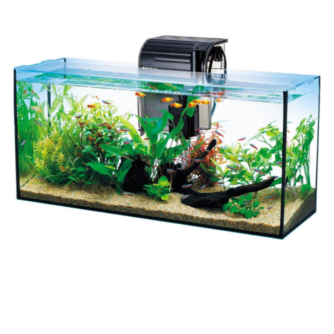 90cm熱帯魚水槽セット 引き取り限定 水槽 90センチ ファイブプラン