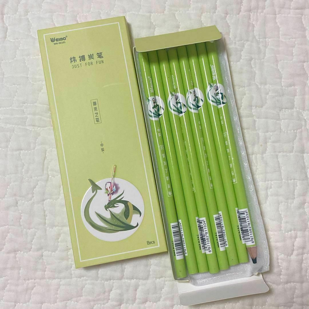 ⭐️プロフェッショナル 鉛筆 えんぴつ チャコールペン スケッチ