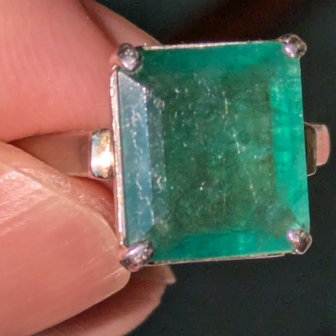 橋本関雪 紙本着色画賛 【楼閣山水図】肉筆 【関雪 自題箱 軸先良好