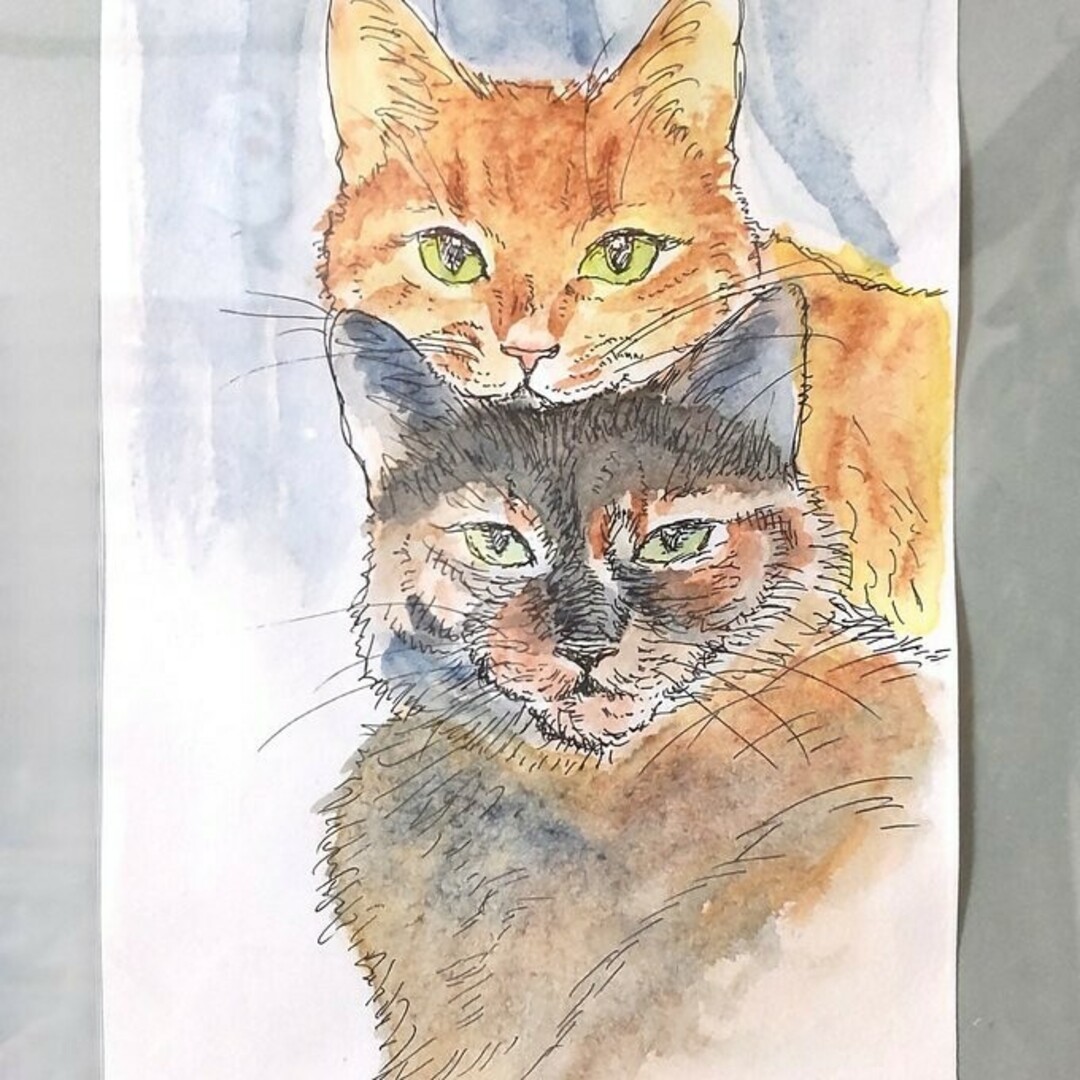猫の絵 絵画 イラスト ドローイング 【公式通販】