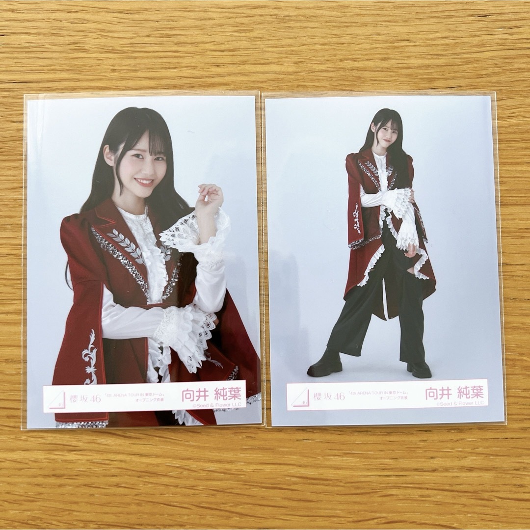 希少】櫻坂46 向井純葉 生写真 東京ドーム スペシャルプレゼント