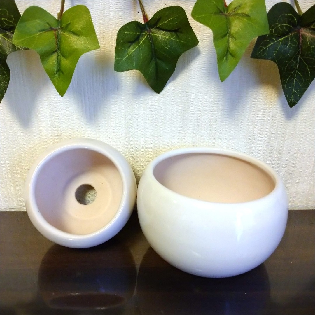 ミニ盆栽鉢 小品盆栽 桑津香石 絵鉢 椿 菖蒲 山野草 ミニ盆栽鉢 小品