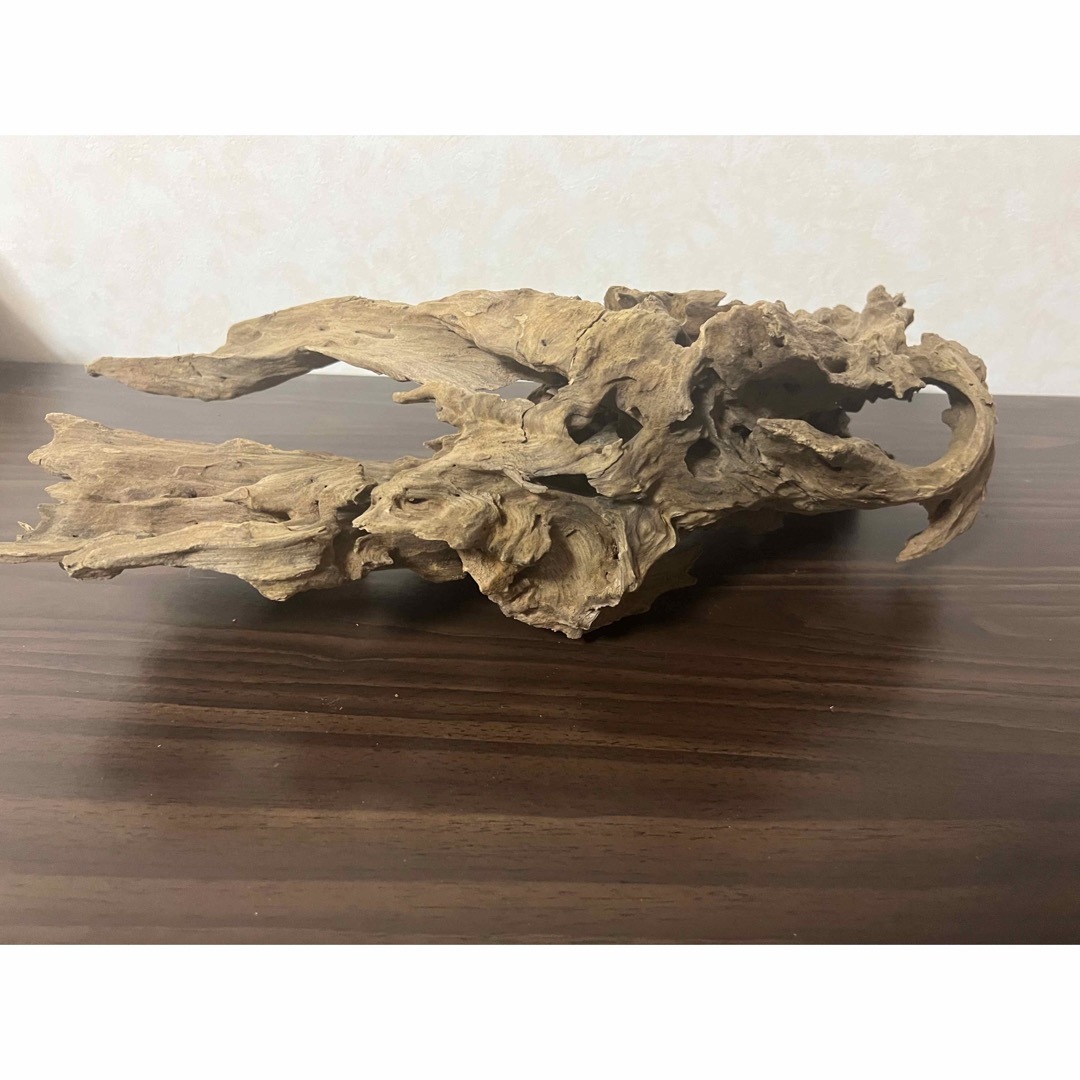 10936 ブランチウッド 流木 アクアリウム 沈水確認済