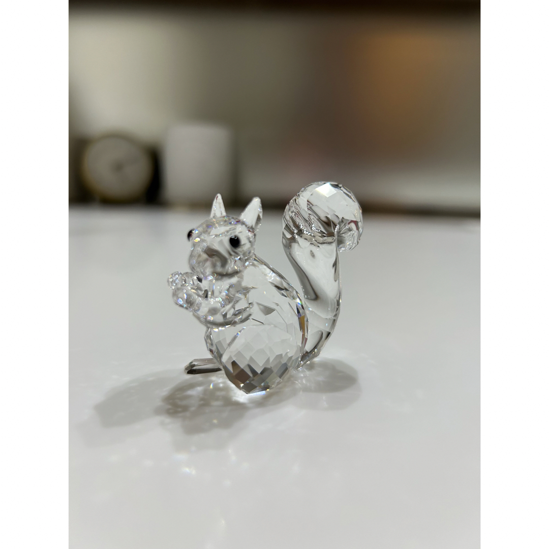 SWAROVSKIスワロフスキー SCS 木の実を食べてるリス 箱入り SWAROVSKI