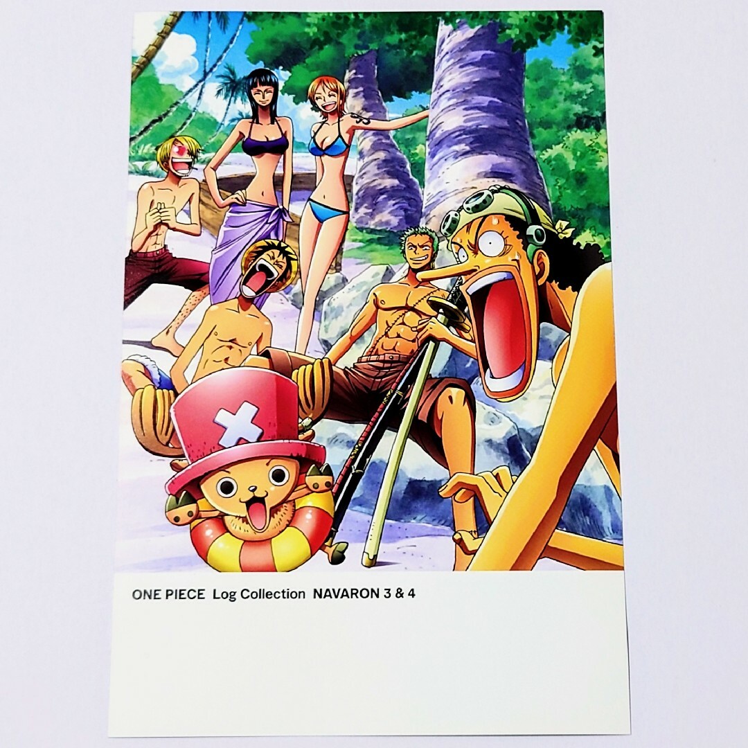 ワンピース 出航 ゾロ サンジ ログストーリーズ ルフィ ロビン 21個