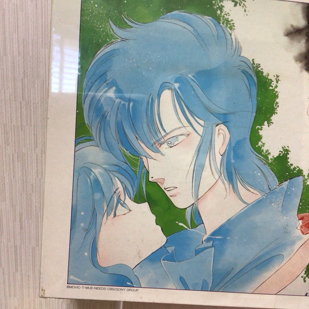 CAROL ジグソーパズル500ピース椎名りつ子