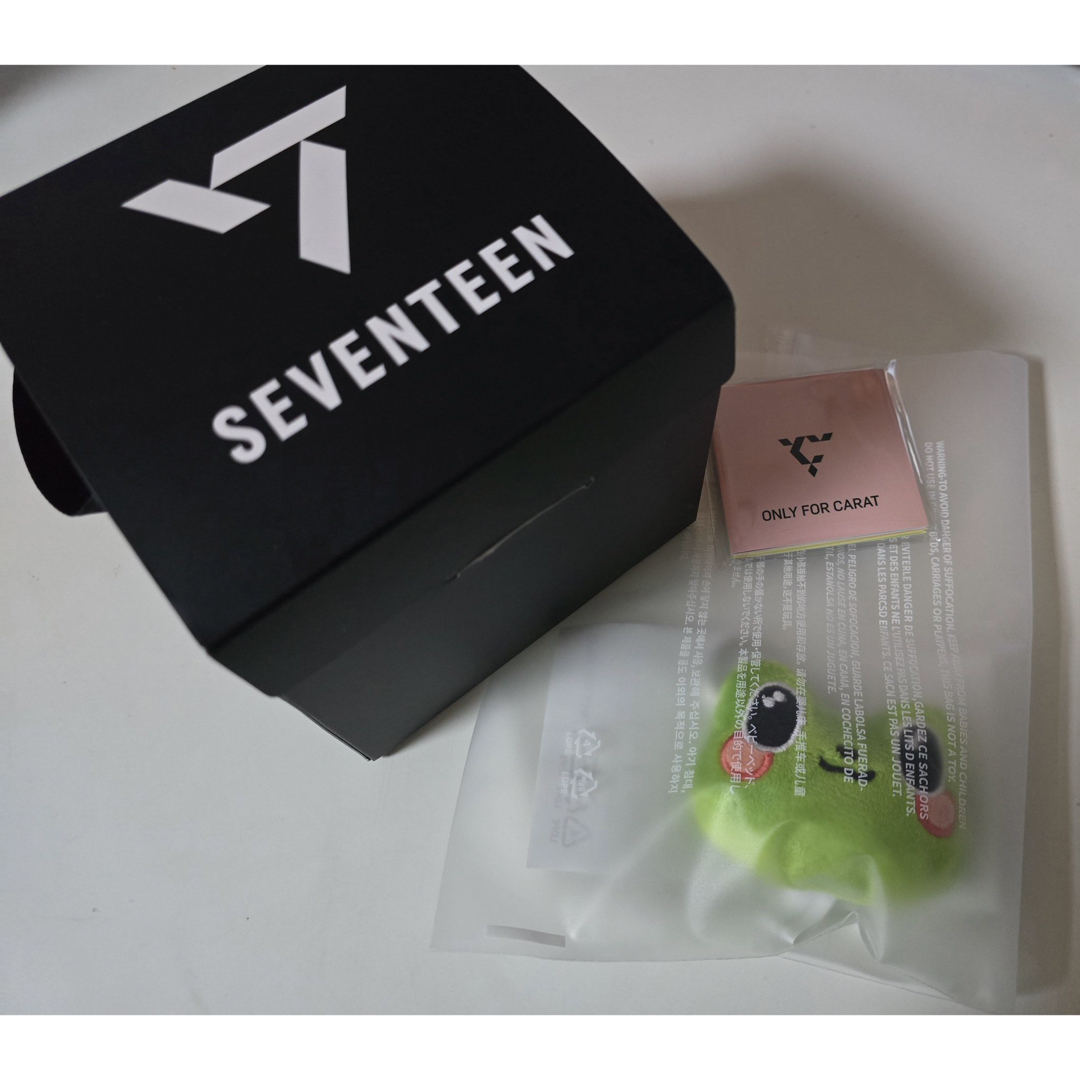 seventeen セブチ ミニティーン バーノン サノク キーリング セット