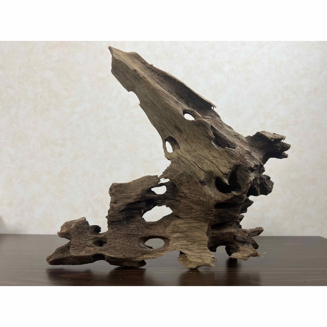 XM-378 流木 マシンガンウッド アクアリウム ブランチウッド