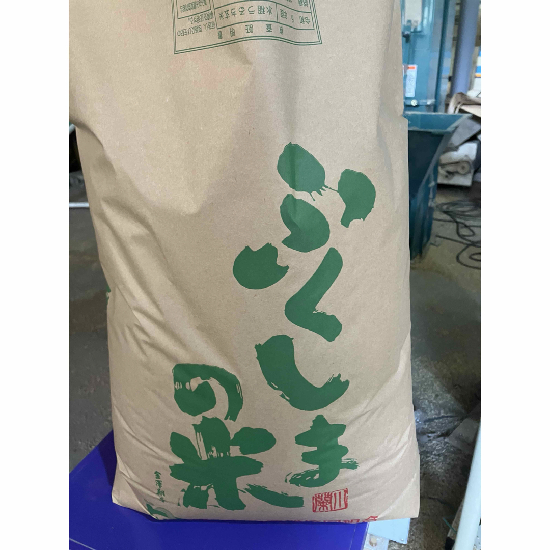 小西洋平 新品 常滑焼 花入 陶器製花器 ダークブラウン 木箱付き