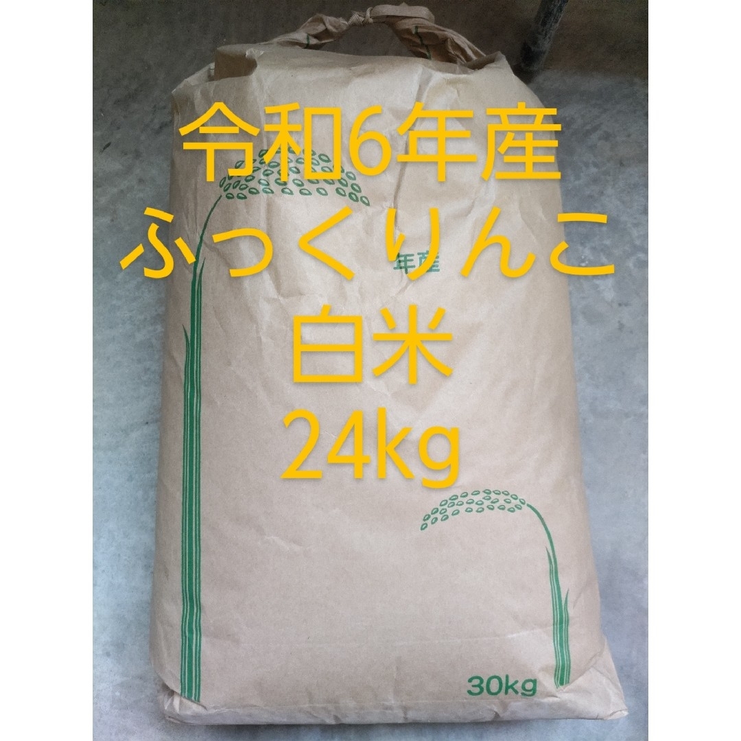 丸久小山園 抹茶 若竹 100g袋 2袋セット 賞味期限2026年1月16日